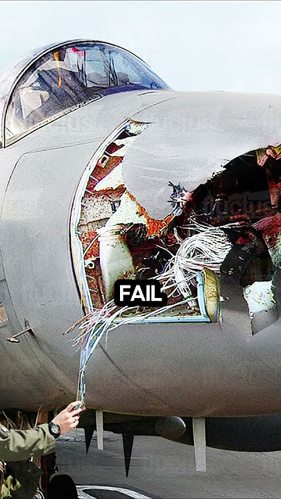The Bird That Took Down a $100 Million Fighter Jet #fighterjet #jets #pilot