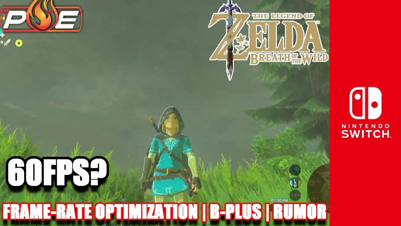 Breath of the Wild - Talking about 60 Frames Per Second