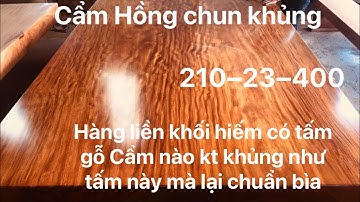 Chiếu ngựa gỗ Cẩm Hồng chun hàng hiếm trên thị trường với kích thước khủng như tấm này