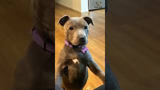 Thank You For Watching, Thank You For Liking, I Wish You Happiness.