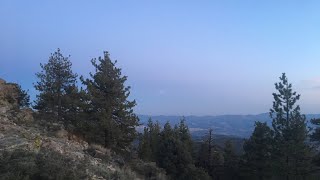 Mount Pinos | Los Padres National Forest