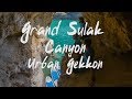 Urban Gekkon | Grand Sulak Canyon | Sup board | [30,07,19]