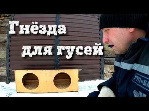 Насесты для гусей своими руками фото