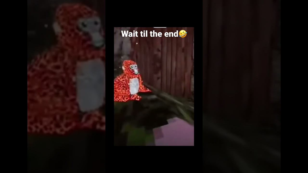 Your dog is so trash🤣-Reupload 