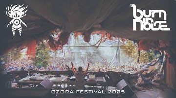 Burn in Noise @ Ozora Festival - Hungary 2025 (Full Video 4K)