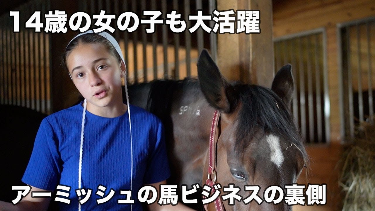 14歳の女の子も大活躍！アーミッシュの馬ビジネスの裏側【ライブ配信風