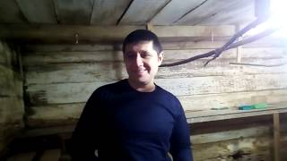 Витамины чтоб куры и перепела хорошо неслись а попугаи не болели. Витамины чтоб куры и перепела хорошо неслись а попугаи не болели.