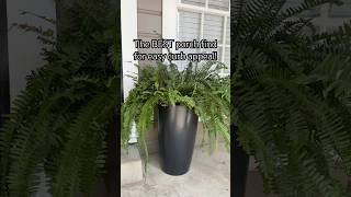 Easy Self-Watering Porch Planters | Low Maintenance Curb Appeal
