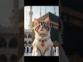 kun anta cats #islamicshorts #kunanta #catshorts #goviral #viralshort #ytshorts #shortsfeed #cats