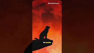 Bu Atasözleri Gerçekten Var Mı? 1 Dakikada Şok Ol