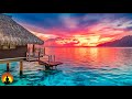 🔴 Relaxing Music 24/7, Calm Music, Meditation Music, Yoga, Healing Music, Sleep, Study Music, Zen