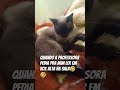 #funny #school #cosplay #foryou #dance #kpop #trend #viralvideo