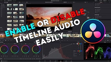 How to Enable or Disable the Timeline Audio in DaVinci Resolve 2025?