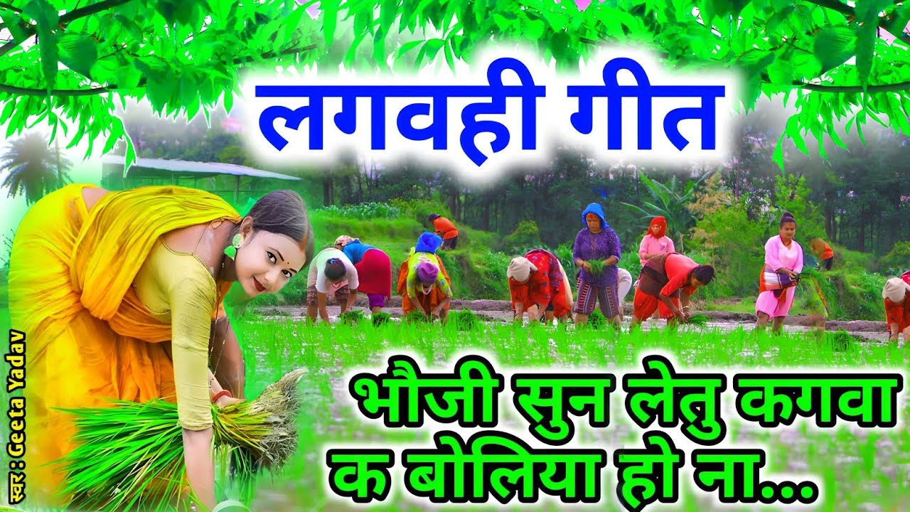 एकदम धमाकेदार धान रोपाई गीत dhan lagvhigeet kajari geet #kajarigeet |अवधी लोकगीत|Lokgeet