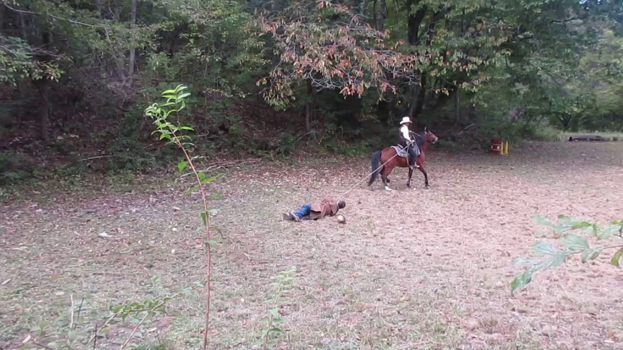 夢占い馬の夢の意味30選 女性が見たら馬は男性を表す 夢占い馬の夢の意味30選 女性が見たら馬は男性を表す