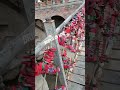 #trending #viral #trendingshorts #viralvideo #trendingvideo #shortvideo #travel #amazing #bridge
