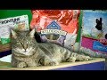 Affordable Pet Care - Save Money on Supplies