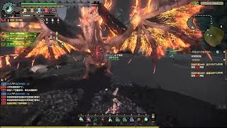 あたちのモンハン日記