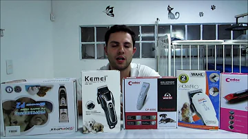 O que passar em alergia de tosa?