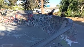 Andy Roys First Egg 5