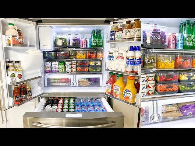 Refrigerator Organization and Tour 