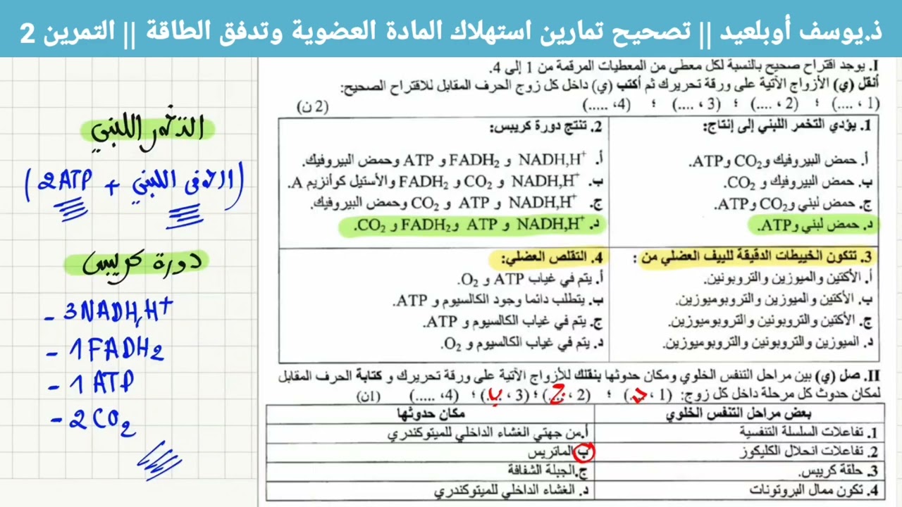 تمارين وحدة استهلاك المادة العضوية وتدفق الطاقة التمرين 2