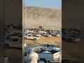 البدو ردا على سب البدو في مصر سيناء ١٧ يناير لا تنسوا الاشتراك في القناة البدو ردا على سب البدو في مصر سيناء ١٧ يناير لا تنسوا الاشتراك في القناة