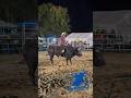 Rayito de la Tenencia vs. Herencia del Abuelo #jaripeo #jinete #guerrerodeljaripeo #bull