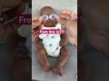 New Eyes For Silicone Baby Reborn Baby Doll Silicone Reborn Siliconebaby Dolls 