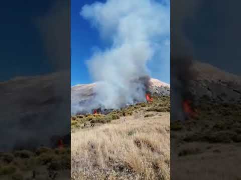 Video incendio Vulcano, Sicilians
