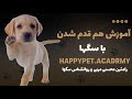 آموزش هم قدم شدن با سگ 