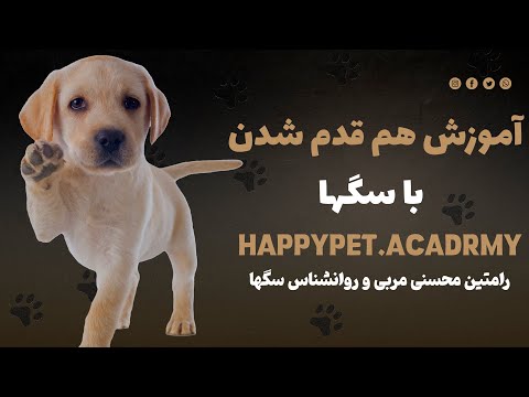 تصویری: 3 راه برای رفع Underbite