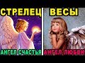 КАКОЙ АНГЕЛ-ХРАНИТЕЛЬ ОБЕРЕГАЕТ КАЖДЫЙ ЗНАК ЗОДИАКА. Кто ты по знаку зодиака и какой твой ангел