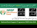 National Rural Support Programme NRSP Rahim Yar Khan Jobs 2024
