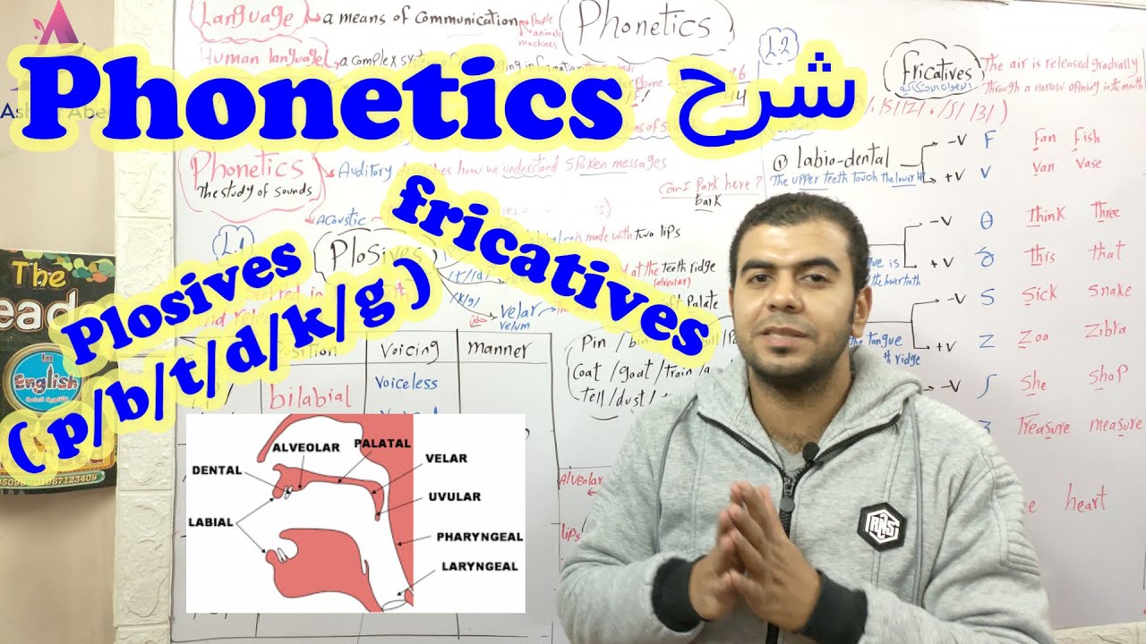 شرح الفوناتكس لطلاب أولى اداب وتربية انجليزى l Phonetics l plosives l fricatives