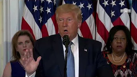 The Greatest 100th Anniversary of the Ratification of the 19th Amendment in 78 seconds