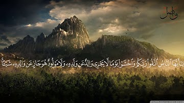 تلاوة هادئه تفيض جمالا أرح بها بالك ومسمعك بصوت القارئ محمد السعيد واصل