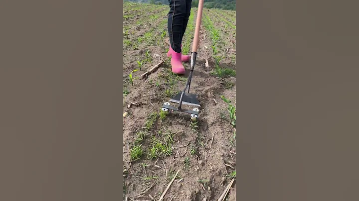 Rural Farmer #925 - DayDayNews