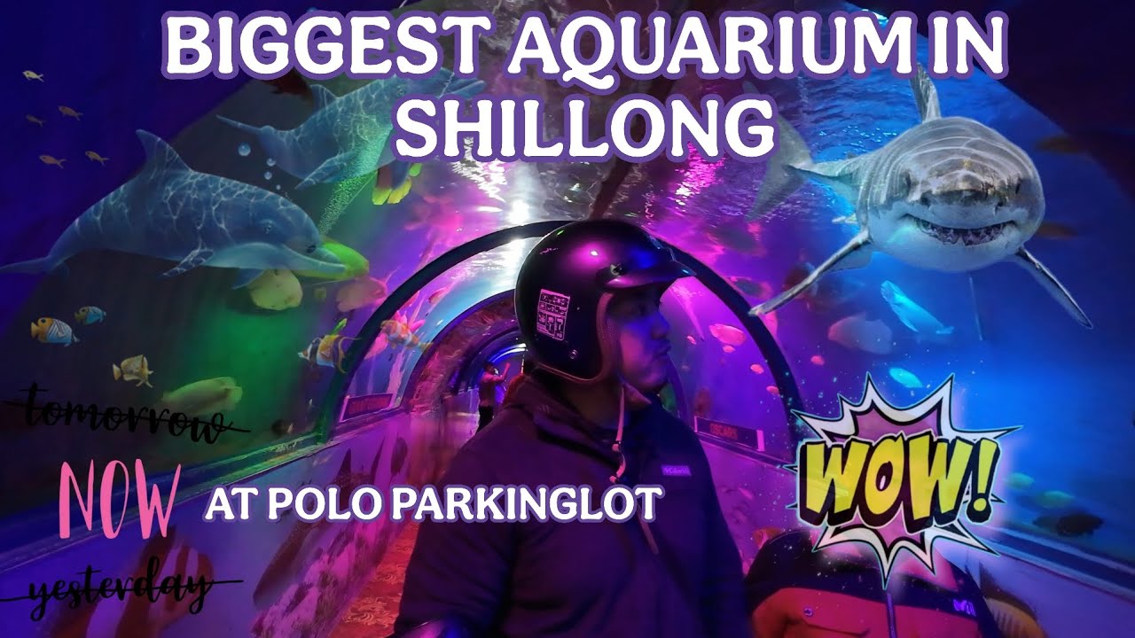 SIEN BA NYNGKONG BA NGA IOHI IA KA AQUARIUM KA BA HEH BHA HA SHILLONG , POLO PARKINGLOT 