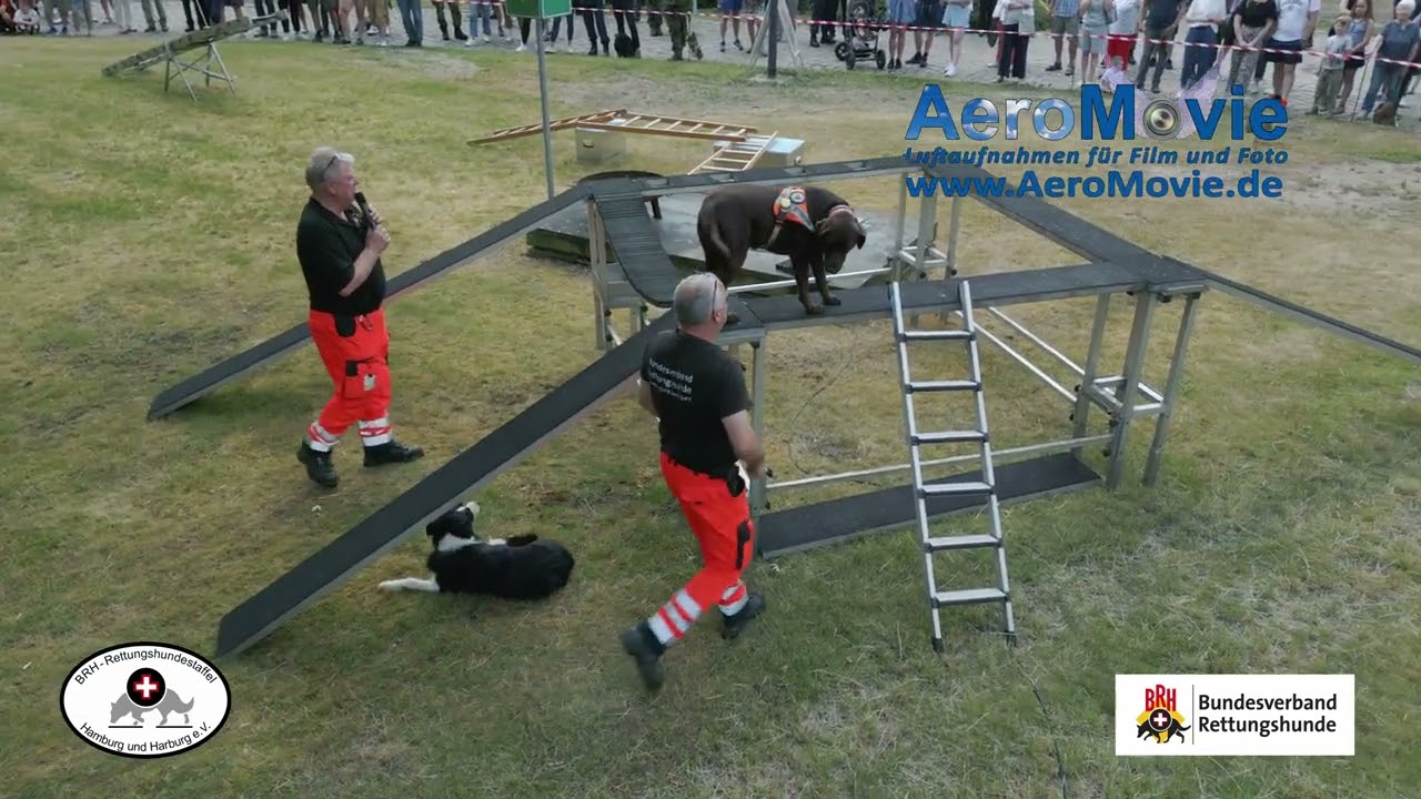BRH Rettungshundestaffel Hamburg und Harburg e.V. - Vorführung
