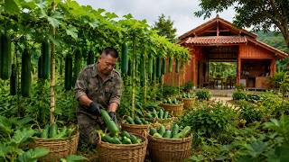 Living in the forest, gardening, harvesting winter melon, and preparing traditional dishes screenshot 3