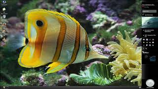 If Windows Longhorn As A Main Os, Not Beta Use