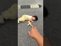 My heart broke when I saw you fall off the car, human cub, cute baby