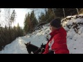 Водопад Девичьи слёзы в Яремче