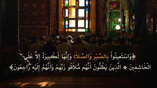 ما أجملها تلاوه هادئة تُرقق القلوب |  شريف مصطفى 💙🎧 screenshot 4