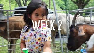 Week 2 Recap Video 2022!