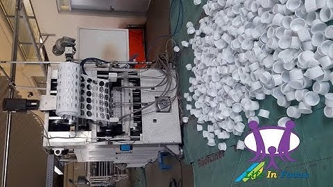 Automatic PLC Controlled Hydraulic Disposable Glass Machine I Disposable Cup Thermoforming Machine