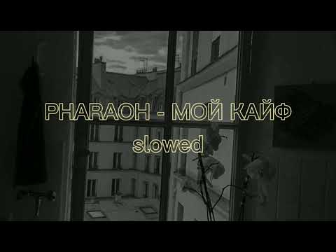 Тексты песен фараона. Мой кайф текст фараон. Мой кайф текст фараон. Фараон мой кайф. Фараон мой кайф обложка.