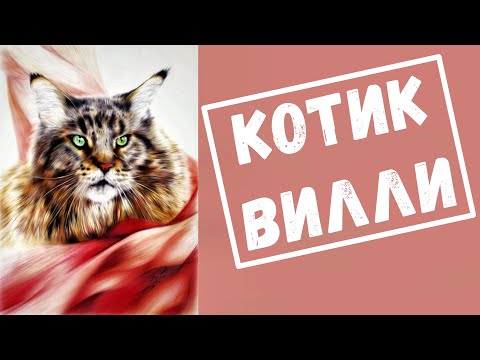 Видео: Кот Вилли.  Приколы и приключения