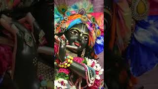 Happy new year 🎊#reelschallenge